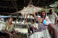 Berbagai jenis ikan dijual di pasar ini.