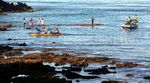 Geliat Pasar Tradisional Lola Alor NTT