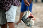 Geliat Pasar Tradisional Lola Alor NTT