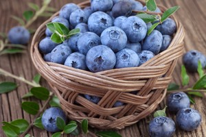 Kaya Polifenol, Blueberry Bisa Gantikan Obat Kumur?