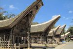 Tana Toraja, Rumah Adat & Gua Tengkorak