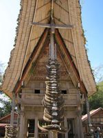 Tana Toraja, Rumah Adat & Gua Tengkorak