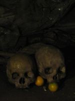 Tana Toraja, Rumah Adat & Gua Tengkorak
