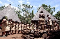 Suku Kabola mendirikan rumah-rumah bertiang kayu bulat, tinggi dan dengan atap dari alang-alang atau ijuk berbentuk bulat, dindingnya terbuat dari anyaman bambu, daun lontar atau papan (Rengga/detiktravel)