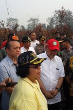 Menteri LHK Tinjau Lokasi Kebakaran Lahan di Riau