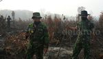 Menteri LHK Tinjau Lokasi Kebakaran Lahan di Riau