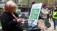 Warga Melbourne menulis di secarik kartu berukuran 10x5 cm yang telah disediakan panitia dari yayasan Australians For Peace.
