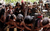 Hanya tersisa 13 kepala keluarga (kk) atau sekitar 40 jiwa yang bermukim di kampung Takpala itu.