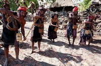 Untuk memenuhi kebutuhan hidup sehari-hati warga suku Abui hanya bergantung pada hasil hutan, berupa biji-bijian yang dikumpulkan warga untuk membuat suvenir dan dijual bagi pengunjung yang datang ke kampung tersebut.