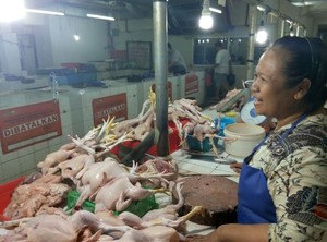 Harga Daging Ayam di DKI Dijual Rp 28.000/Kg