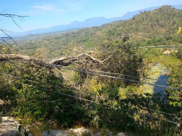 Transmisi Putus Akibat Pohon Tumbang, 5 Daerah Ini Krisis Listrik