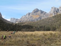 Padang savana yang terlihat dari New Zealand Pass, sebenarnya adalah jalur pendakian dari Sugapa-Ugimba-Tambua. Ternyata, belum banyak pendaki yang lewat sini! (Afif/detikTravel)