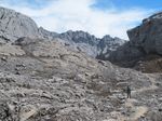 Inilah Selandia Baru Ala Papua