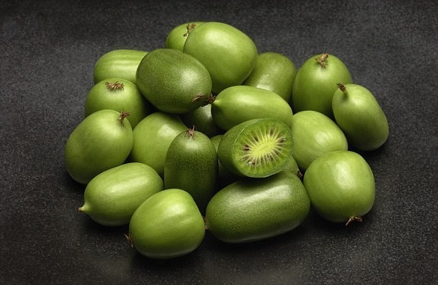 Kiwi Berries, Buah Kiwi Mungil yang Manis Lembut