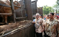 Beras yang dilepas merupakan beras katagori premium dengan harga Rp 9.000 per kilogram (kg). Untuk sapi, Bulog menyiapkan sapi beku dan sapi hidup. Bulog mematok harga daging sapi di level pedagang sebesar Rp 95.000 per kg.