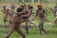Baik tua mau pun muda, semua laki-laki Suku Dani punya andil untuk ikut serta dalam tradisi perang. Senjata yang digunakan adalah tombak hingga panah (Randy/detikTravel)