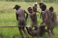 Bahkan ada salah satu pemuda yang pura-pura terkena panah dan digotong bareng oleh para pemuda. Layaknya time break di adegan sepakbola, perang pun dihentikan sementara waktu (Randy/detikTravel)