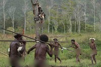 Ketua Suku turun ke lapangan untuk menghentikan pertunjukan perang, sekaligus mengakhiri ritual perang di hari itu (Randy/detikTravel)