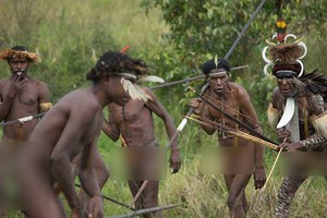 Serunya Menonton Perang-perangan Suku Dani di Papua