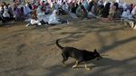 Warga Muhammadiyah Salat Idul Adha di Pulomas
