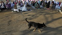 Tahun ini pelaksanaan Idul Adha sejumlah ormas Islam berbeda, NU dan pemerintah baru akan berlebaran Idul Kurban pada esok hari. CNN Indonesia/Adhi Wicaksono.