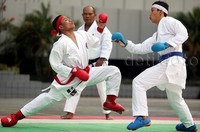 Sejumlah atlet karate menampilkan peragaan gerakan tehnik jurus utama yakni  Kihon (teknik dasar), Kata (jurus) dan, Kumite (pertarungan), saat acara pelantikan Karate Institut Karate-Do Nasional (Inkanas) Cabang Khusus PT PLN, di Jakarta.