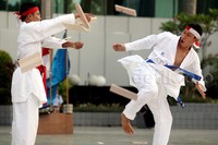 Inkanas merupakan organisasi yang berdiri di bawah Federasi Olahraga Karate-Do Indonesia (Forki).