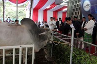 Dalam kesempatan itu, Menteri Pertanian Amran Sulaiman yang didampingi Menteri Perencanaan Pembangunan Nasional/Kepala Bappenas, Sofyan Jalil. Istimewa/dok Kementrian PANRB.