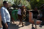 Sapi Berbobot 1 Ton Diarak Sebelum Dikurban