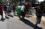 Sapi Berbobot 1 Ton Diarak Sebelum Dikurban
