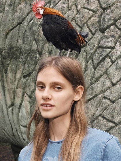 Ayam Jadi Model Koleksi Busana Terbaru Victoria Victoria Beckham Ayam Jadi Model Koleksi Busana Terbaru Victoria Victoria Beckham