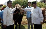 Hari Raya Idul Adha, Mandiri Bagikan Hewan Kurban