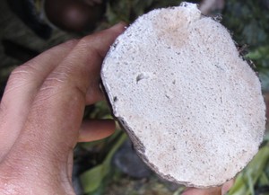 Bukan dari Laut, Garam Papua Ada di Atas Gunung