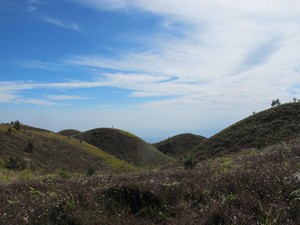 7 Alasan Kenapa Harus ke Gunung Prau, Mumpung Libur Idul Adha