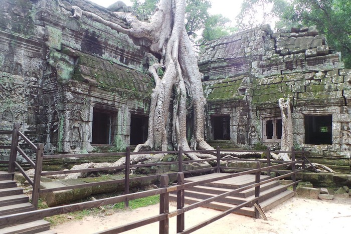 Ta Prohm, Kuil Unik Tempat Syuting Tomb Raider di Kamboja