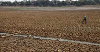 Hampir seluruh bagian setu mengering. Hanya tinggal beberapa titik yang masih digenangi air.
