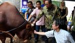 DPP PAN Lakukan Pemotongan Hewan Kurban