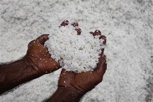 Ini Alasan Kemendag Beri Izin Impor Garam Saat Petani Panen Raya