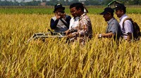 Menteri Pertanian Andi Amran Sulaiman memanen padi dengan mesin. Ist/Kementan.