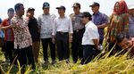 ​Mentan Panen Padi di Karawang