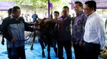 Bank Muamalat Kurban 14 Sapi dan 189 Kambing