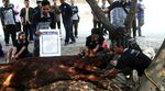Bank Muamalat Kurban 14 Sapi dan 189 Kambing