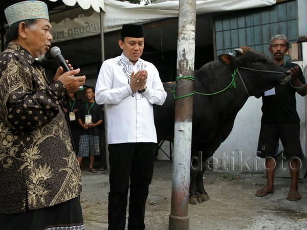 Pemotongan Hewan Kurban di Kantor DPP PKB