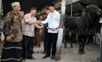 Pemotongan Hewan Kurban di Kantor DPP PKB