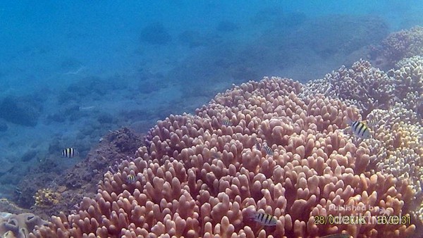 Pantai Enu di Donggala yang Cantik Luar Dalam