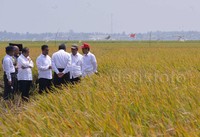 Menurut Presiden, hampir satu tahun pemerintahannya kebutuhan beras nasional bisa dipenuhii sendiri oleh petani tanpa perlu mengimpor, meski banyak desakan untuk mengimpor beras. Bahkan cadangan beras pun masih dalam batas aman, yakni 1,7 juta ton.