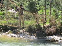 Jembatan Mantimu berada di Desa Ugimba. Jembatan ini ada di bagian paling ujung desanya yang biasa digunakan masyarakat setempat untuk masuk ke hutan dan berburu. Hutan belantara yang tidak dihuni manusia! (Afif/detikTravel)