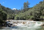 Jembatan Rotan yang Menegangkan di Papua