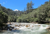 Di bawah jembatannya, adalah Sungai kemabu yang mengalir deras dan dalam. Aliran airnya sendiri berasla dari pegunungan di sekitar Puncak Carstensz dan super dingin (Afif/detikTravel)