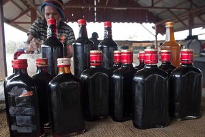 Mau Sehat? Coba Buah Merah dari Papua